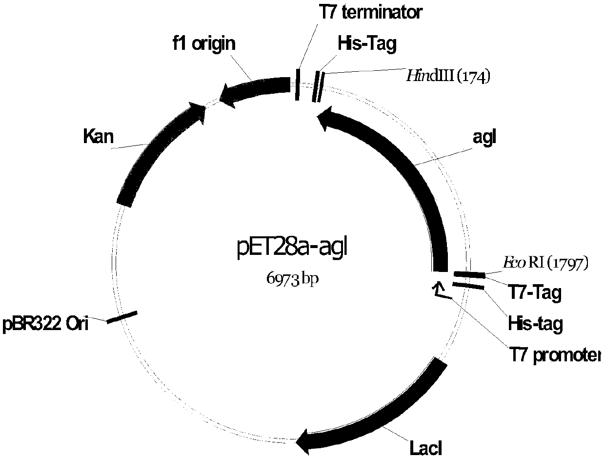 Glucosyltransferase and application thereof in producing vanillin-alpha-D-glucoside