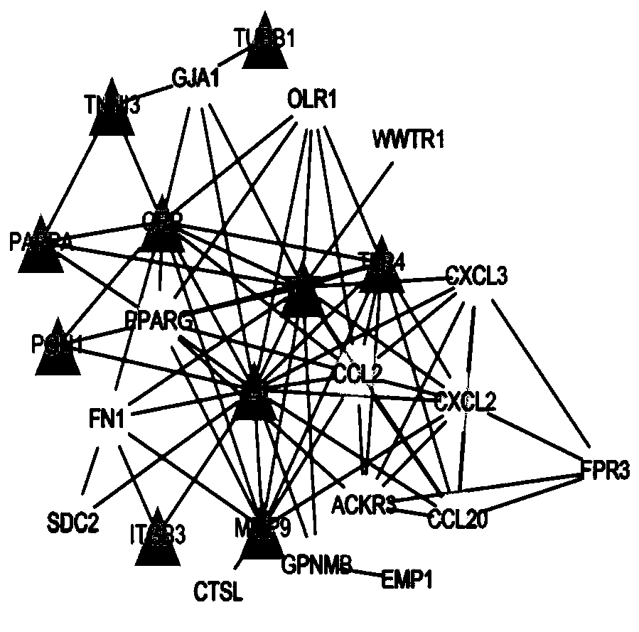 Use of mir-9 in the preparation of medicines for treating acute coronary syndrome