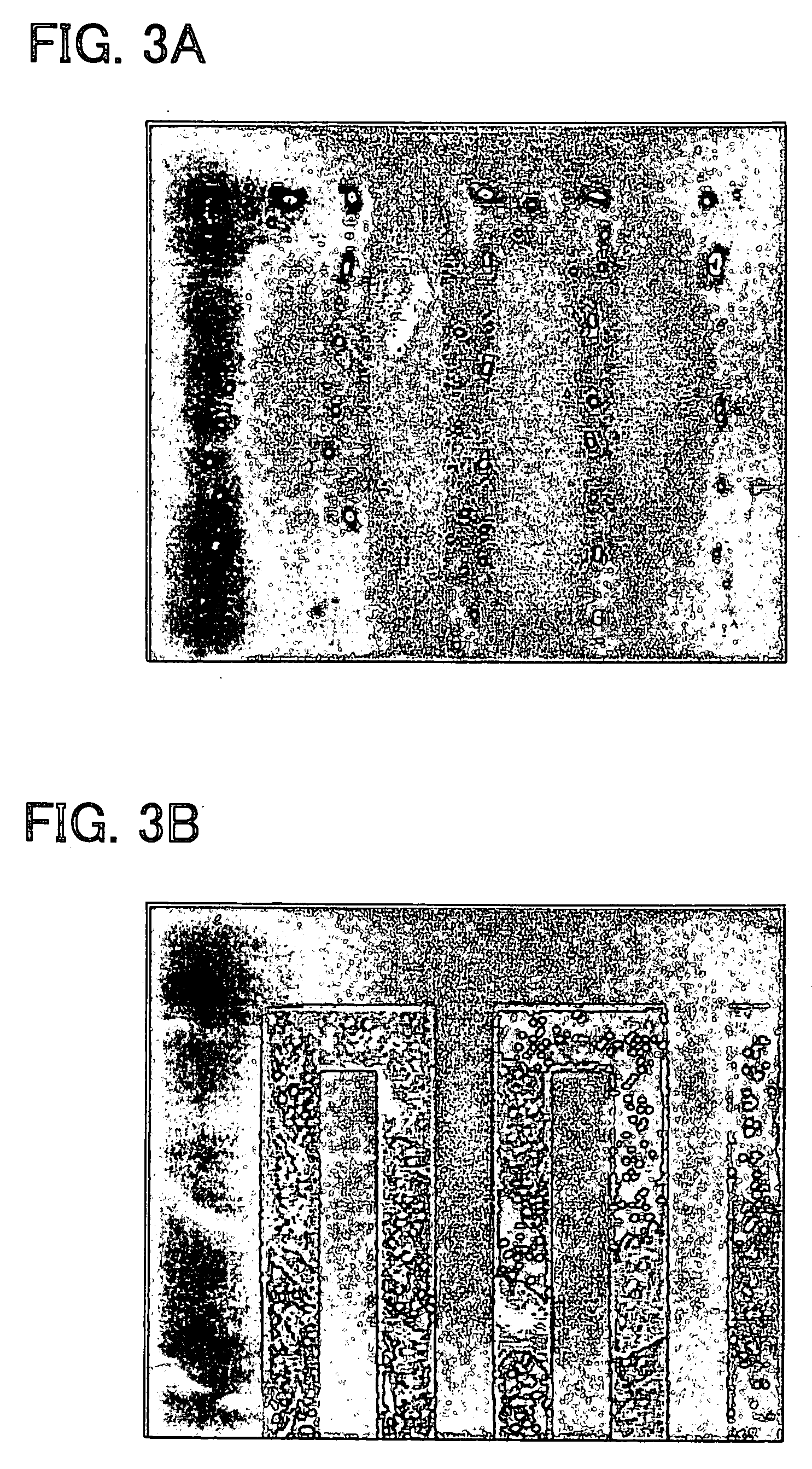 Ceramic electronic component and production method therefor