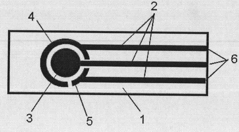 Portable heavy metal lead, cadmium, and zinc sensor, preparation method thereof, and detection method