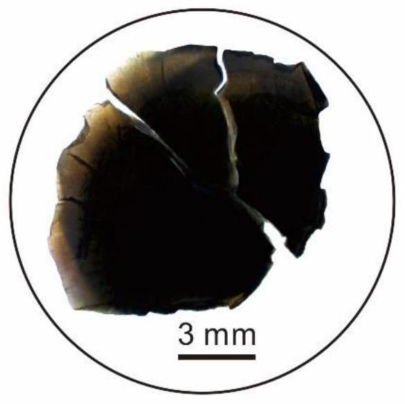 A laser method for measuring the Fe isotope composition of Cr-rich geological samples