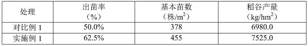 Cold region rice spring-ploughing-free dry direct seeding cultivation method