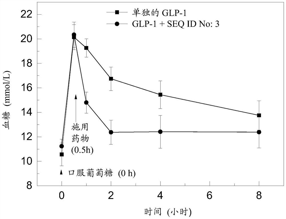 Polypeptide, pharmaceutical composition containing polypeptide and application of polypeptide and pharmaceutical composition