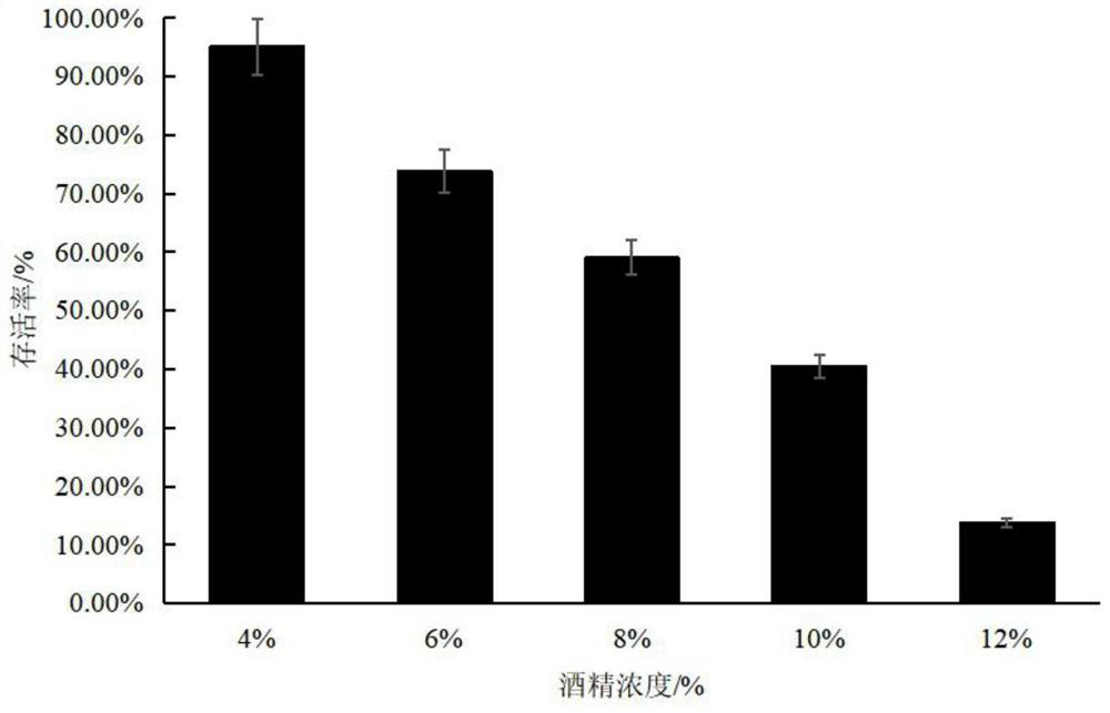 A strain of Lactobacillus plantarum with excellent alcohol tolerance and its application