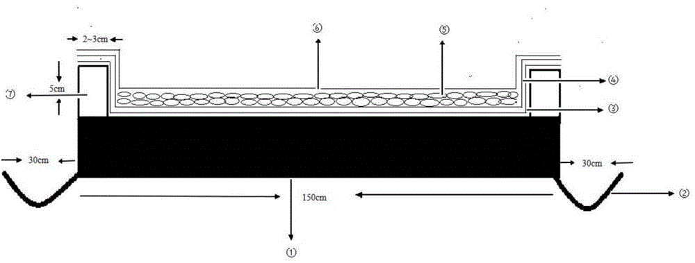 Method for soilless simple rice seedling raising of machine-transplanted rice