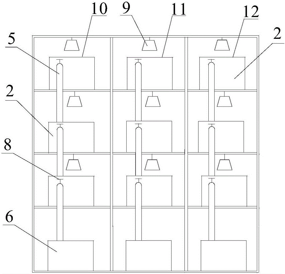 Indoor rapid multiplication cultivation system for seaweed Gracilaria lemaneiformis