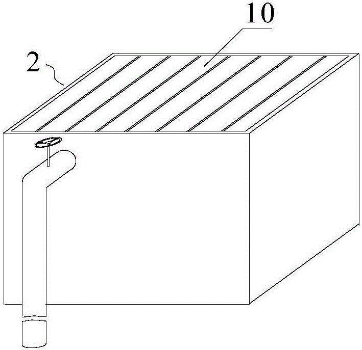 Indoor rapid multiplication cultivation system for seaweed Gracilaria lemaneiformis