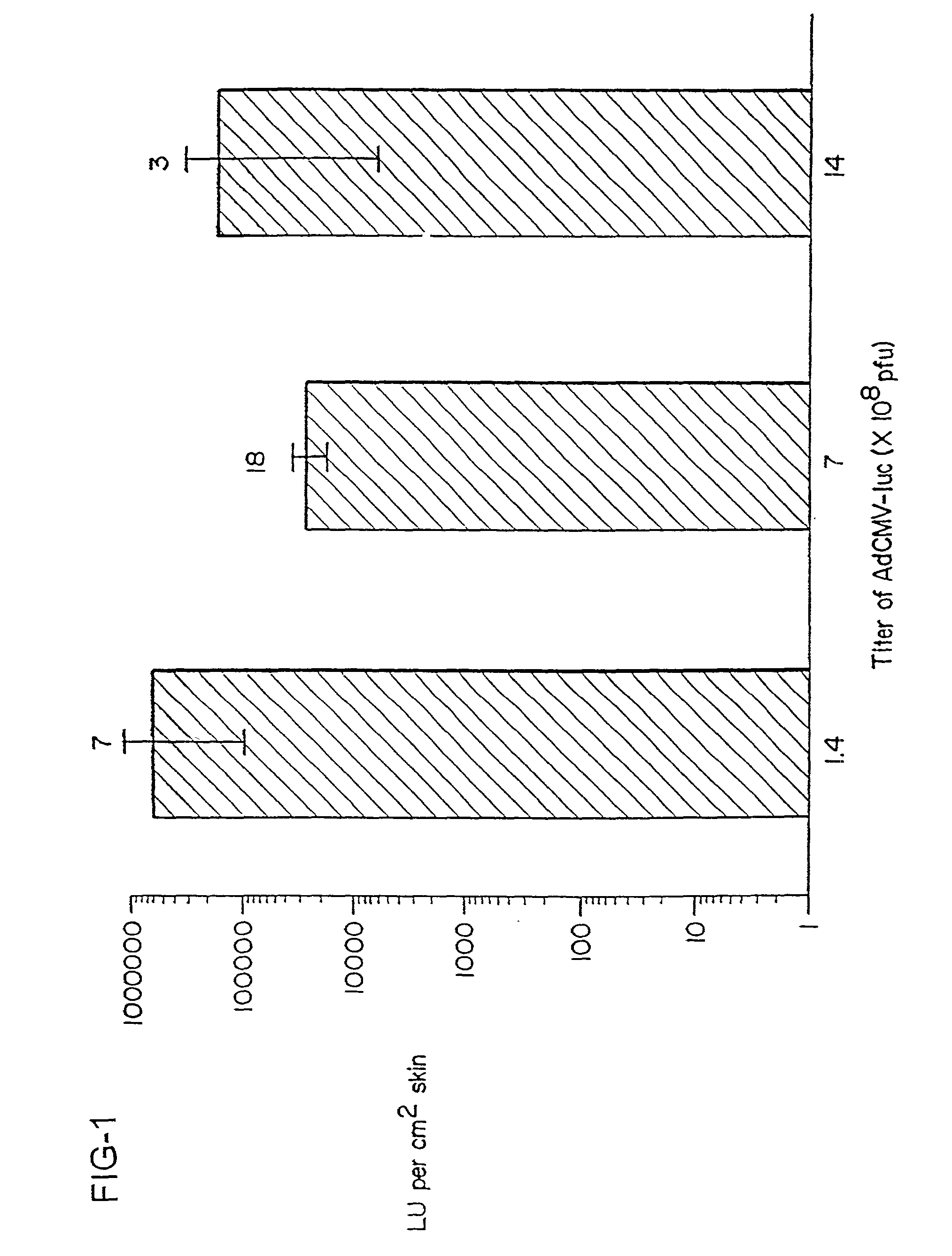 Immunization of animals by topical applications of a salmonella-based vector