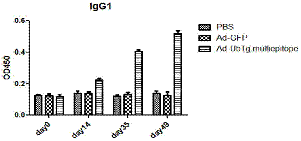 Multivalent adenovirus vaccine for preventing toxoplasmosis