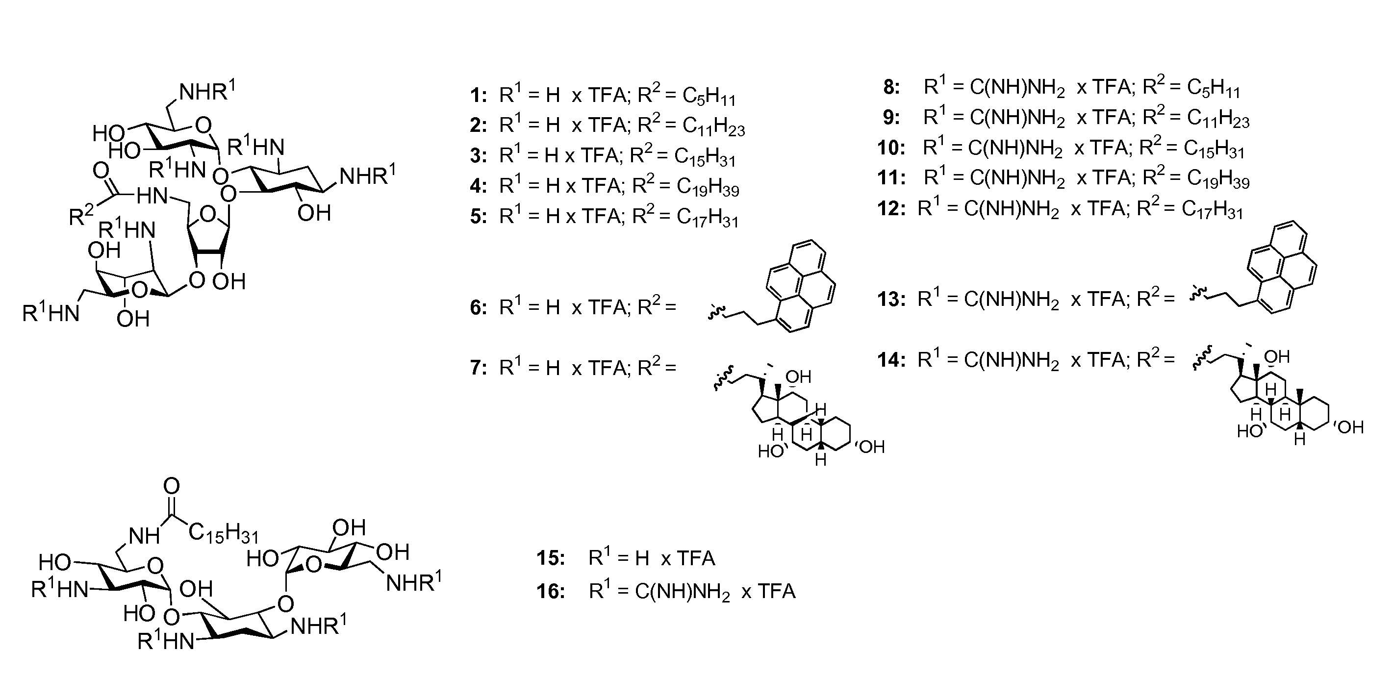 Guanidinylated aminoglycoside-lipid conjugates