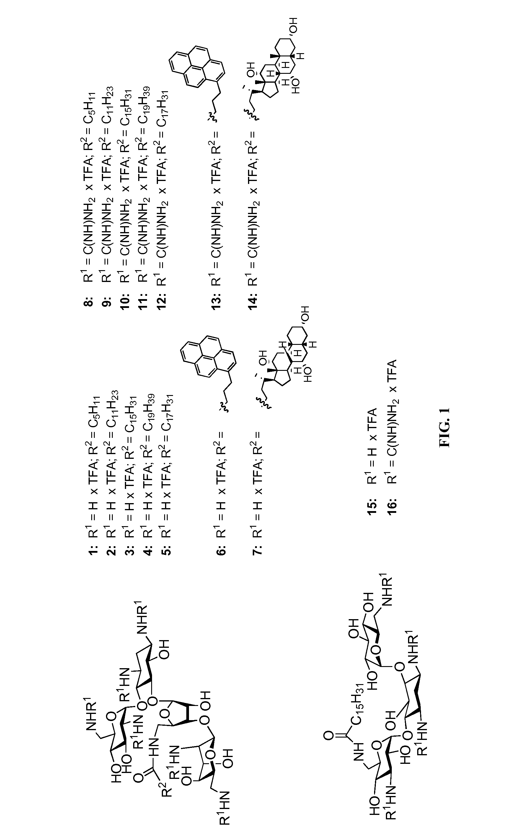 Guanidinylated aminoglycoside-lipid conjugates