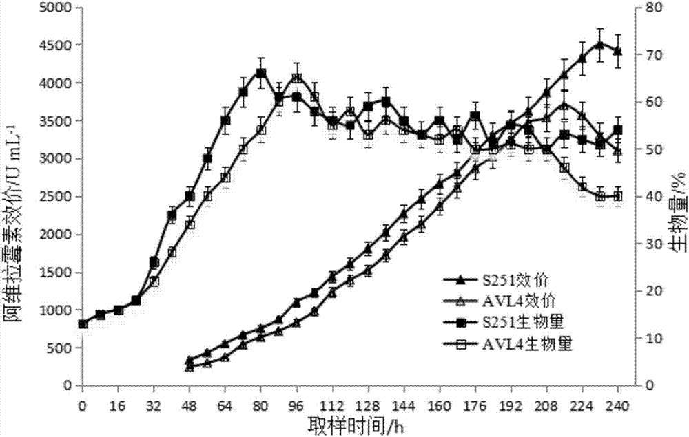 Screening method of avilamycin high-producing strain