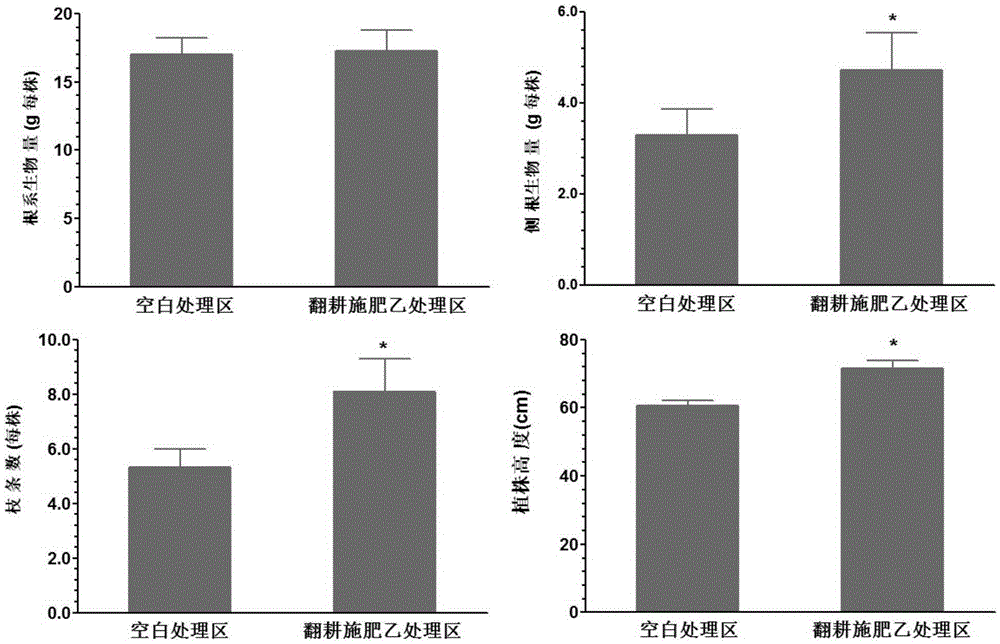 Method for raising yield of alfalfa and improving quality of alfalfa