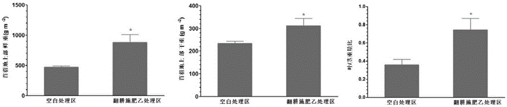 Method for raising yield of alfalfa and improving quality of alfalfa