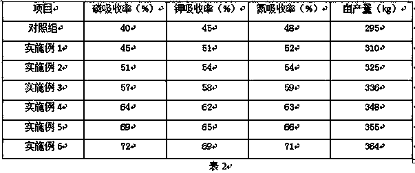 A planting method for increasing yield of Scrophulariaceae