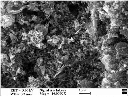 Graphitized graded porous carbon composite phase change energy storage material and preparation method thereof