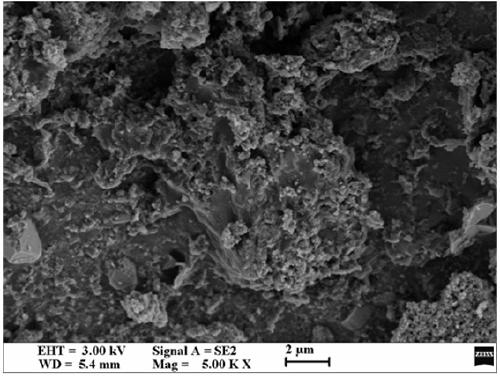 Graphitized graded porous carbon composite phase change energy storage material and preparation method thereof