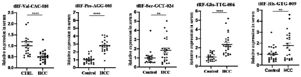 Serum tsRNA marker related to liver cancer, probe and application thereof