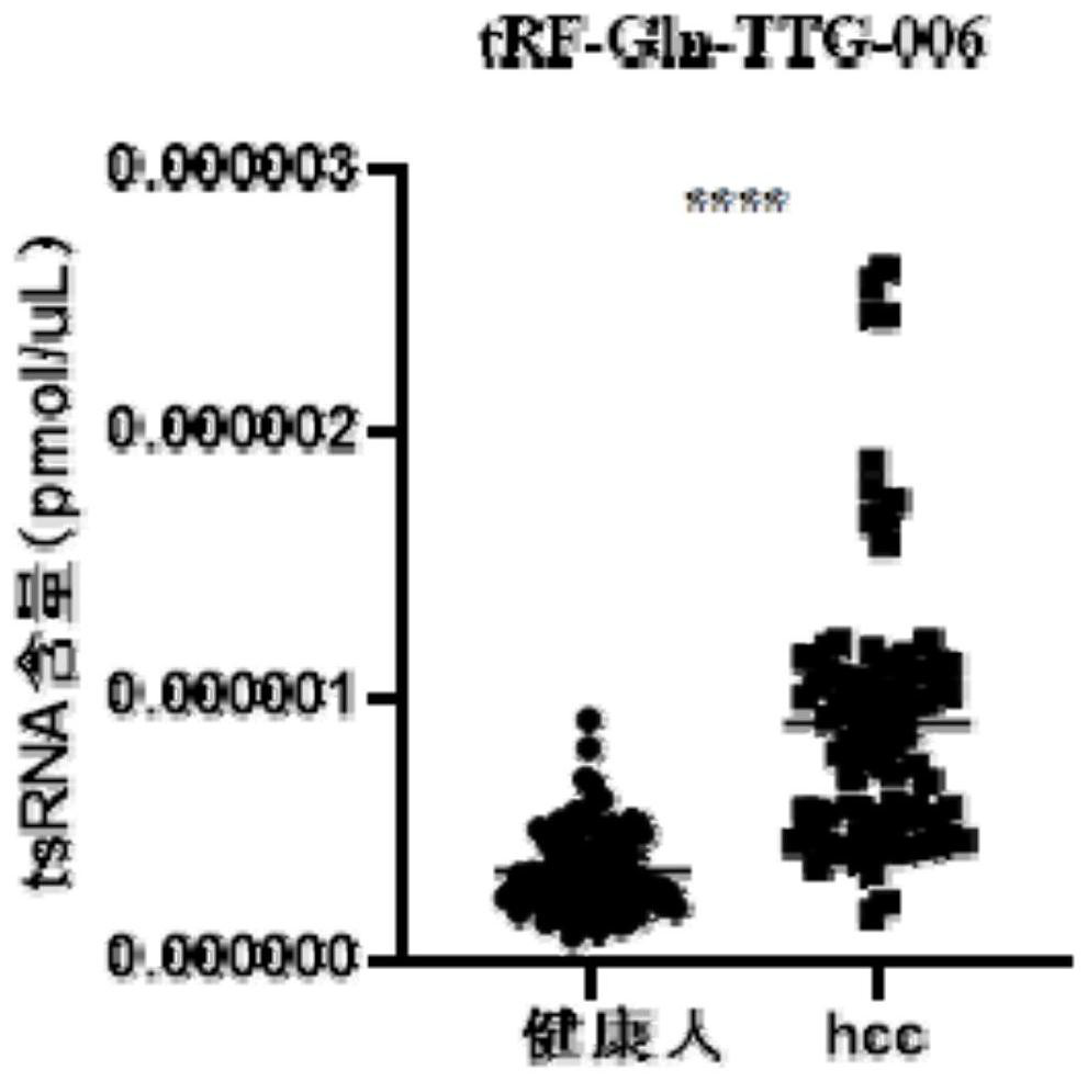 Serum tsRNA marker related to liver cancer, probe and application thereof