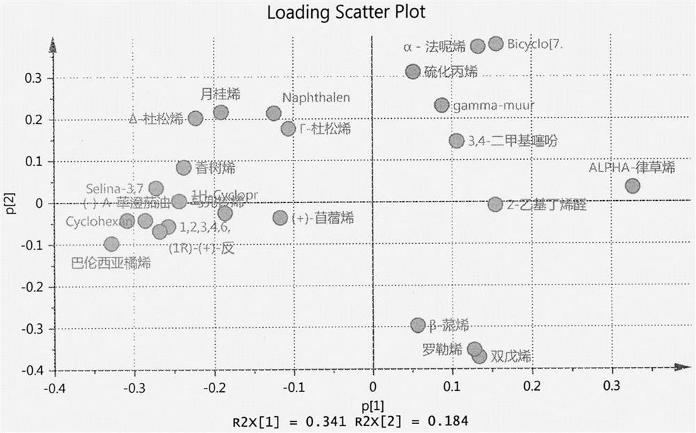 Method for analyzing flavor principal components of pickled cedrela sinensis subjected to different sterilization treatments