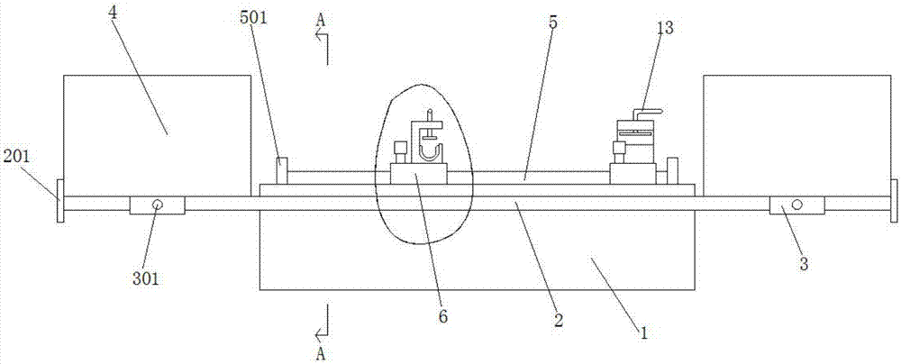 Fixing device for local irradiation of nude mouse