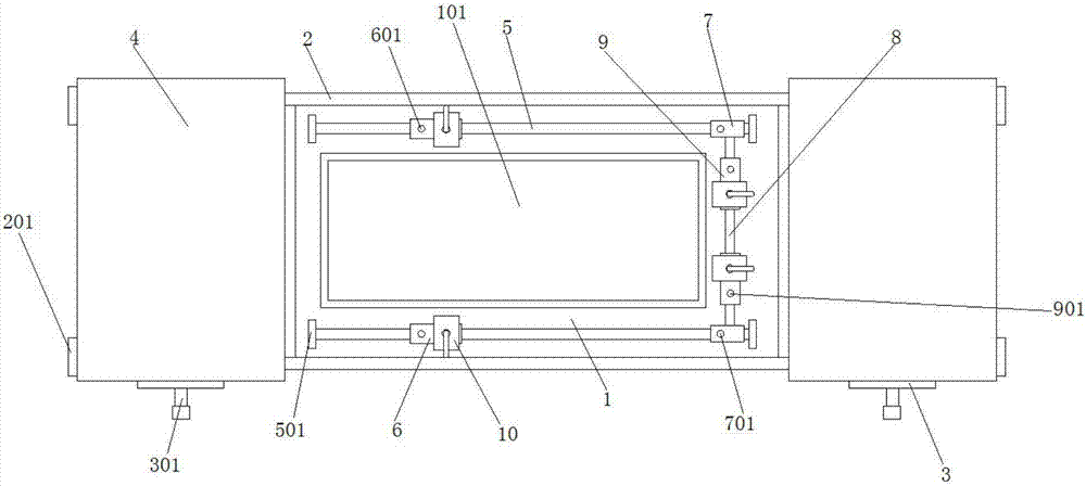 Fixing device for local irradiation of nude mouse