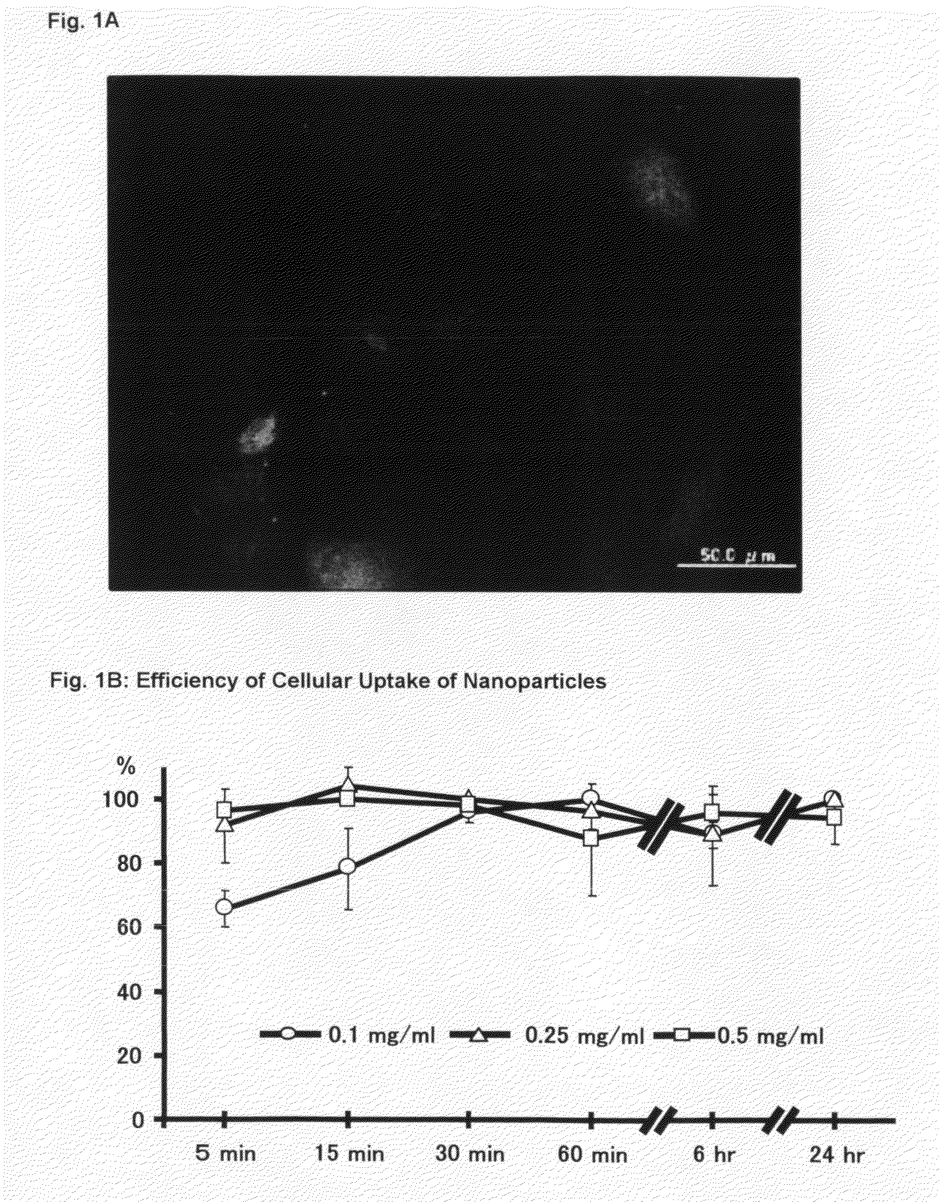 Nanoparticles Comprising a PDGF Receptor Tyrosine Kinase Inhibitor