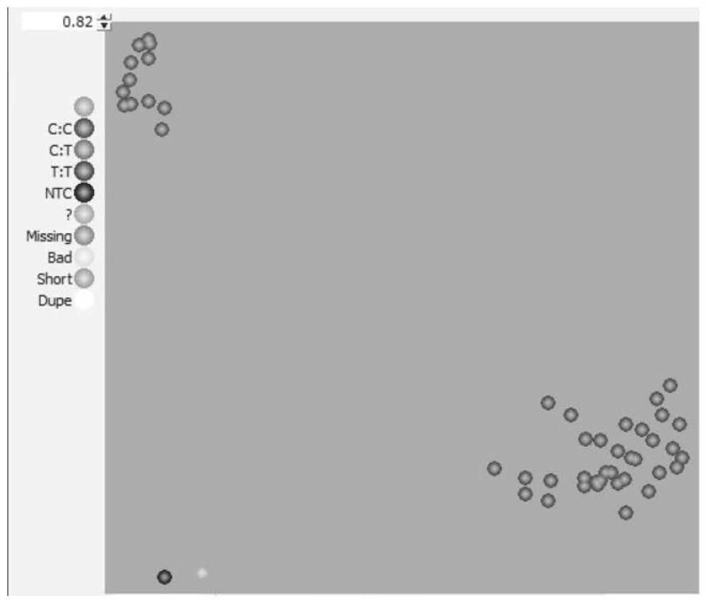 KASP-based soybean core SNP markers and application thereof