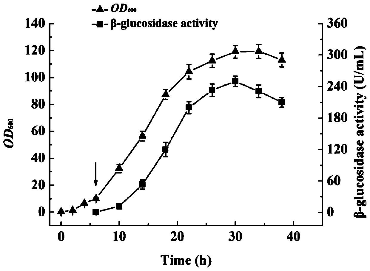 A kind of expression vector of β-glucosidase mutant protein, expression engineering bacteria and expression method