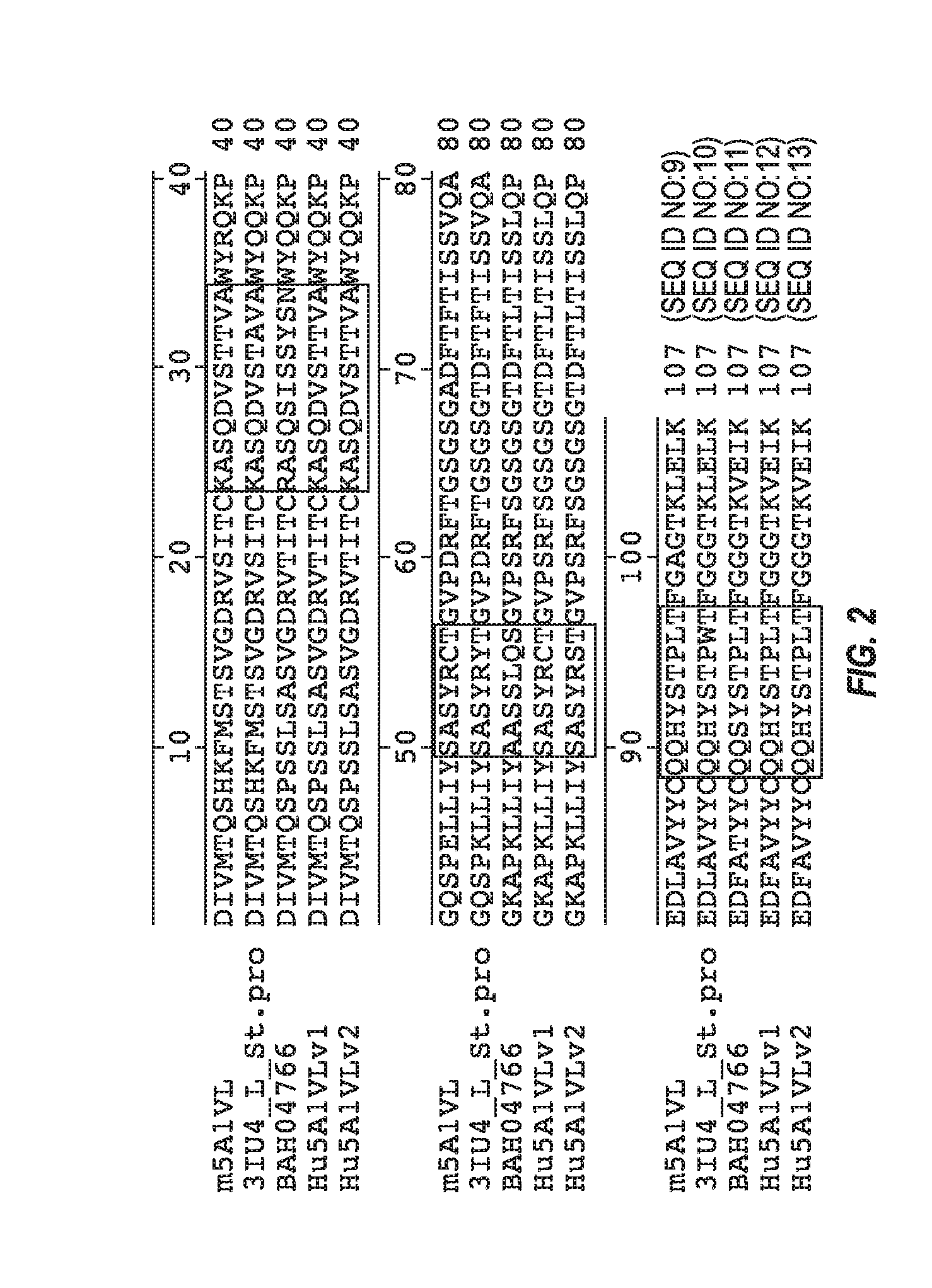 Anti-transthyretin antibodies