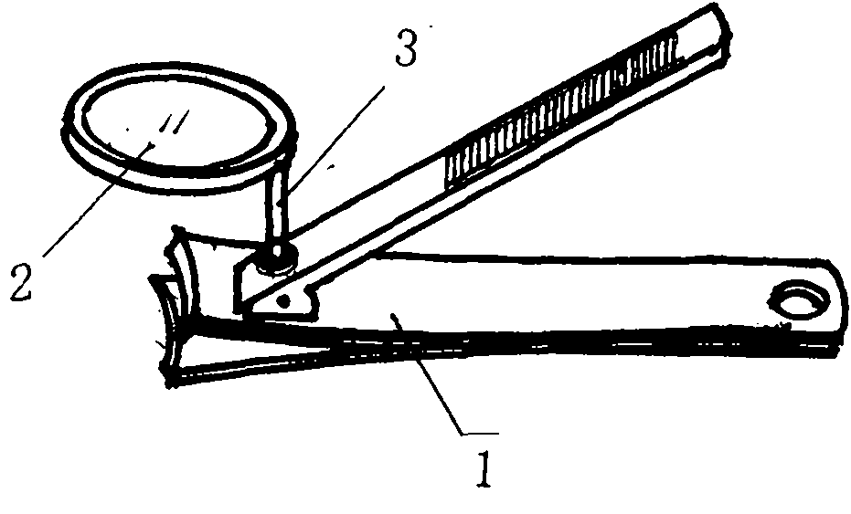 Nail scissors provided with magnifier