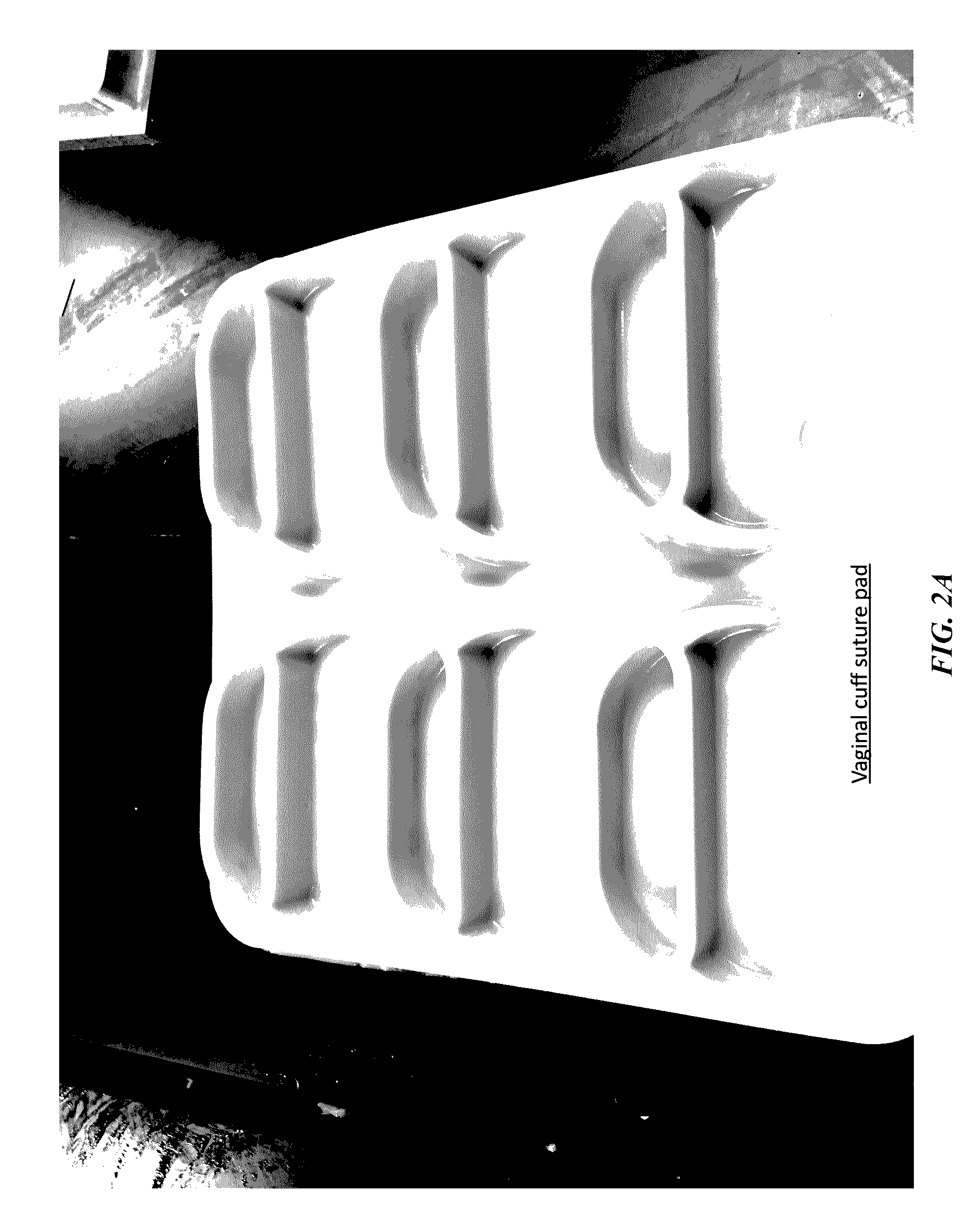 Synthetic vaginal cuff model and method of simulating vaginal cuff closure