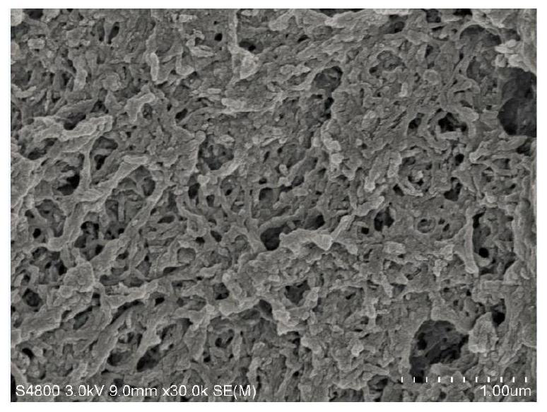 Nano-hydroxyapatite/N-malely chitosan composite material, preparation method and application thereof