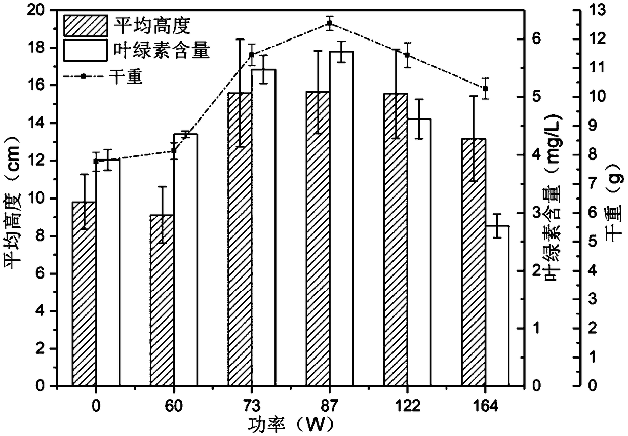 Method for cultivating spotted colored pea seeds with low-temperature plasma activated water