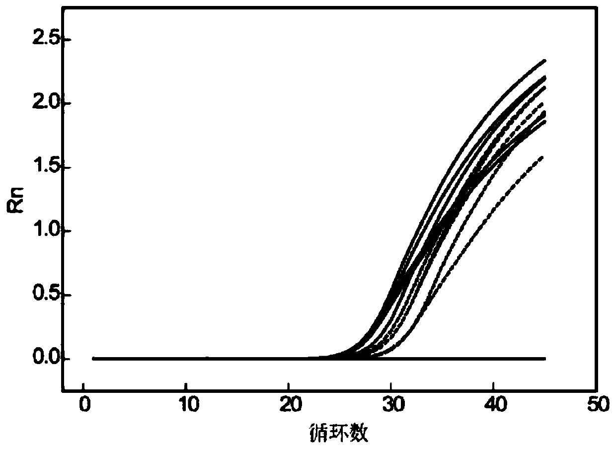 Amino acid buffer solution and plasma free DNA extraction kit