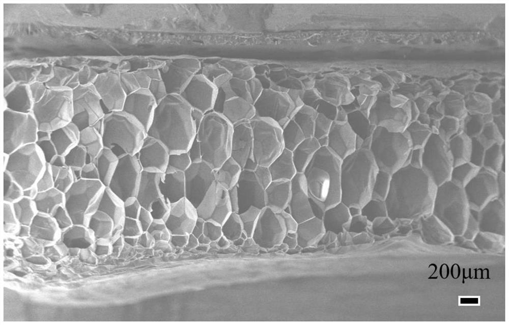 Polymer foam material and its preparation method