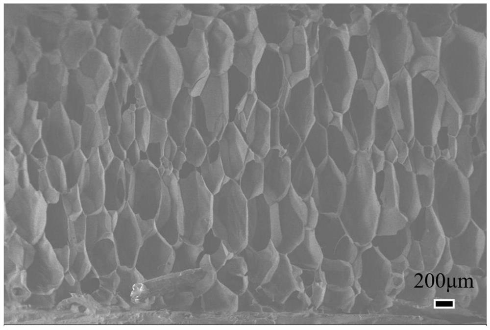 Polymer foam material and its preparation method