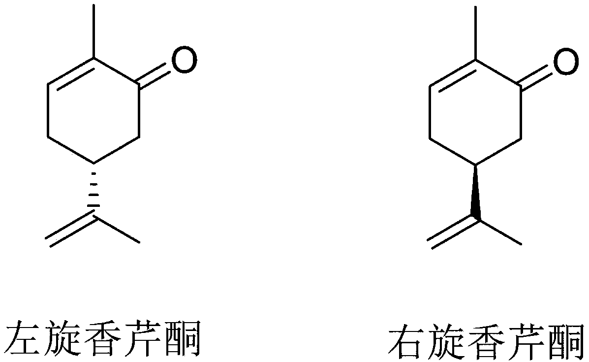 A HPLC method for the determination of L-carvone and D-carvone in spearmint oil