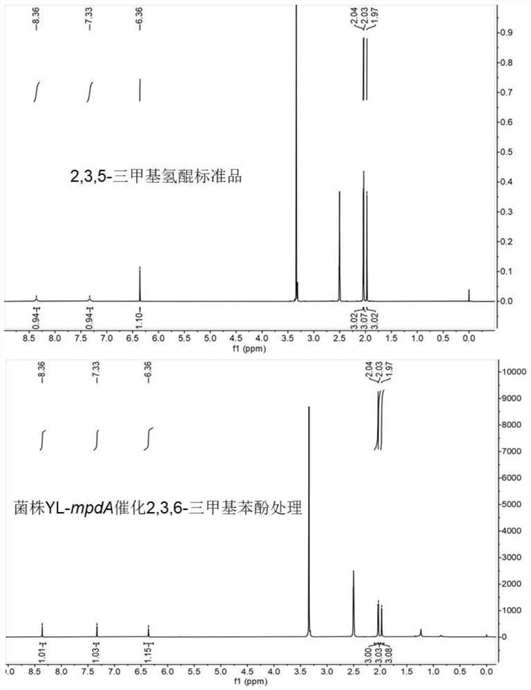 Monooxygenase MpdA, coding gene mpdA thereof and application of monooxygenase MpdA and coding gene mpdA thereof in synthesis of vitamin E precursor