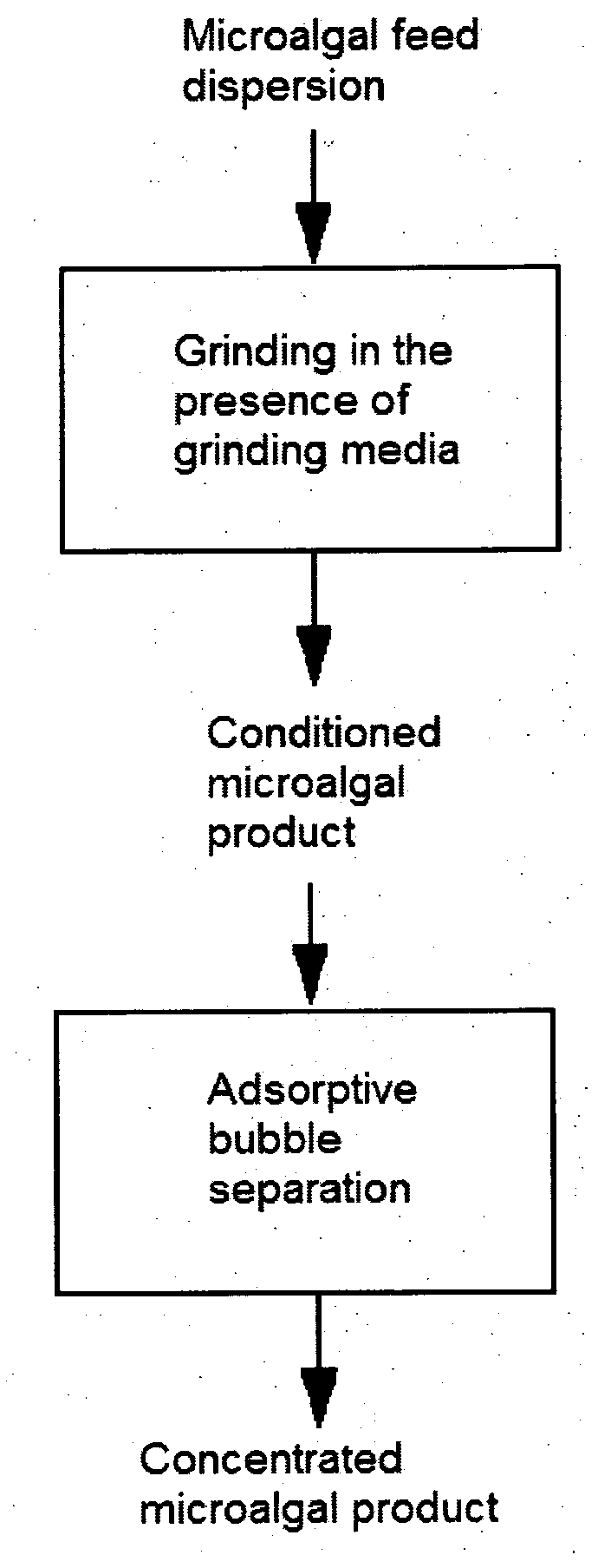 Process for microalgae conditioning and concentration