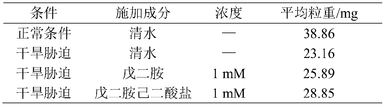 Compound foliar fertilizer containing pentanediamine salt