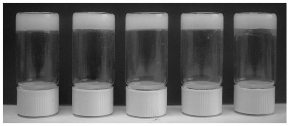 A kind of injectable paclitaxel gel with high drug load and its preparation method and application