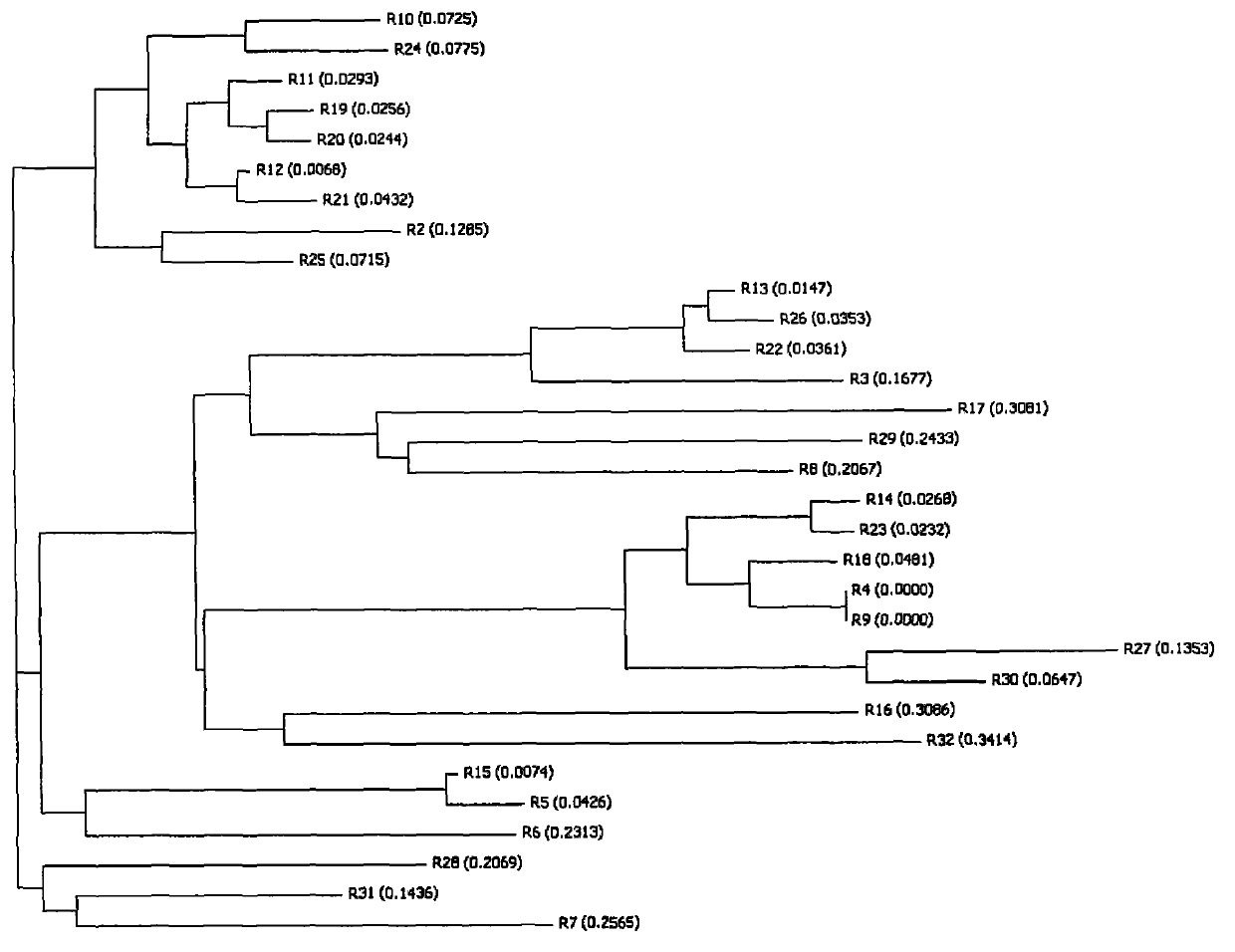 Establishment method of clostridium difficile exotoxin A carboxyl-terminal sequence codon optimization gene segment and expression vector and application of expression protein thereof