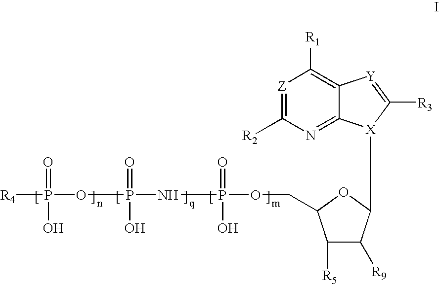 Methods of treating heart failure with modified ATP, ADP and AMP compounds