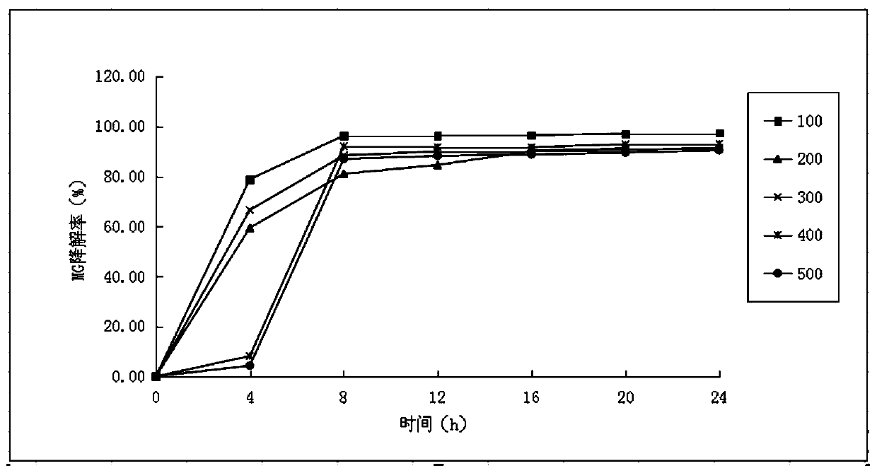 A strain of Enterobacter aerogenes degrading malachite green under high-salt environment