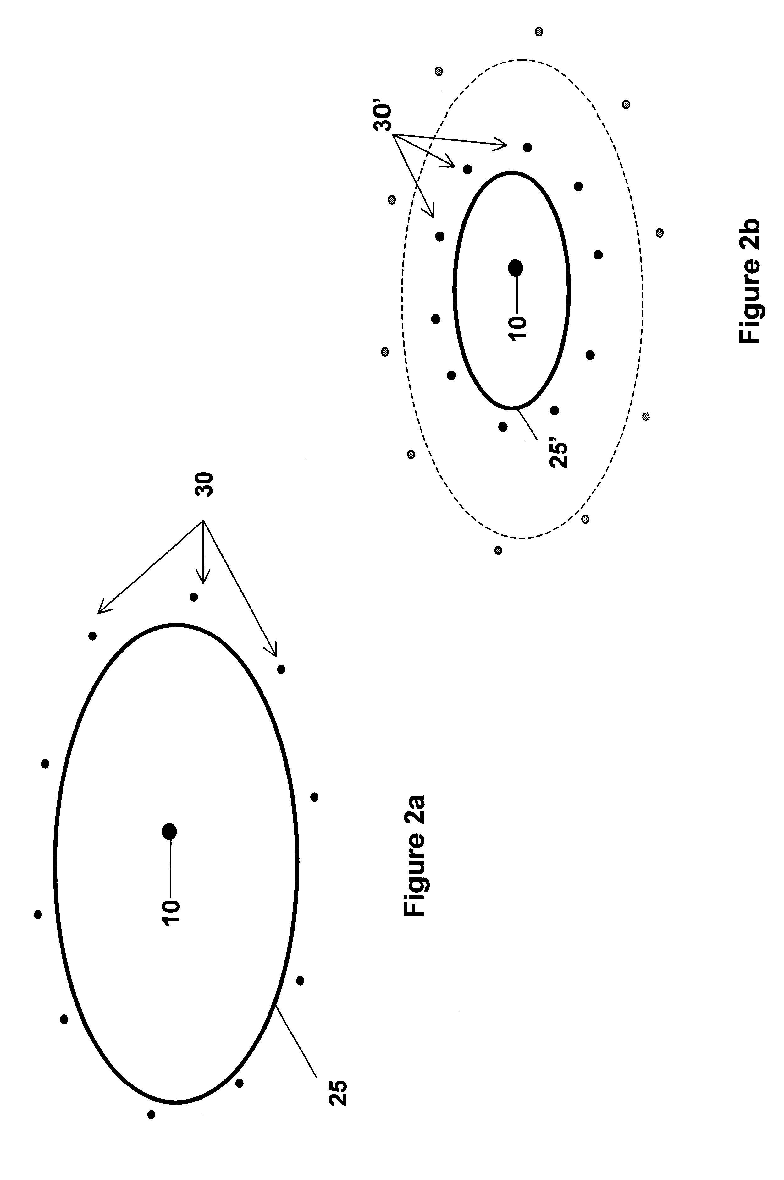 Electrokinetic removal of charged contaminant species from soil and other media using moderately conductive adsorptive materials