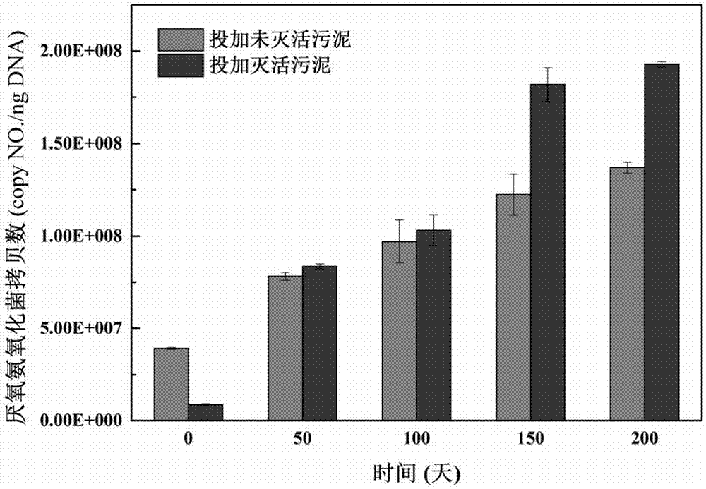 Inactivated sludge-based anaerobic ammonium oxidation rapid enhancement starting method