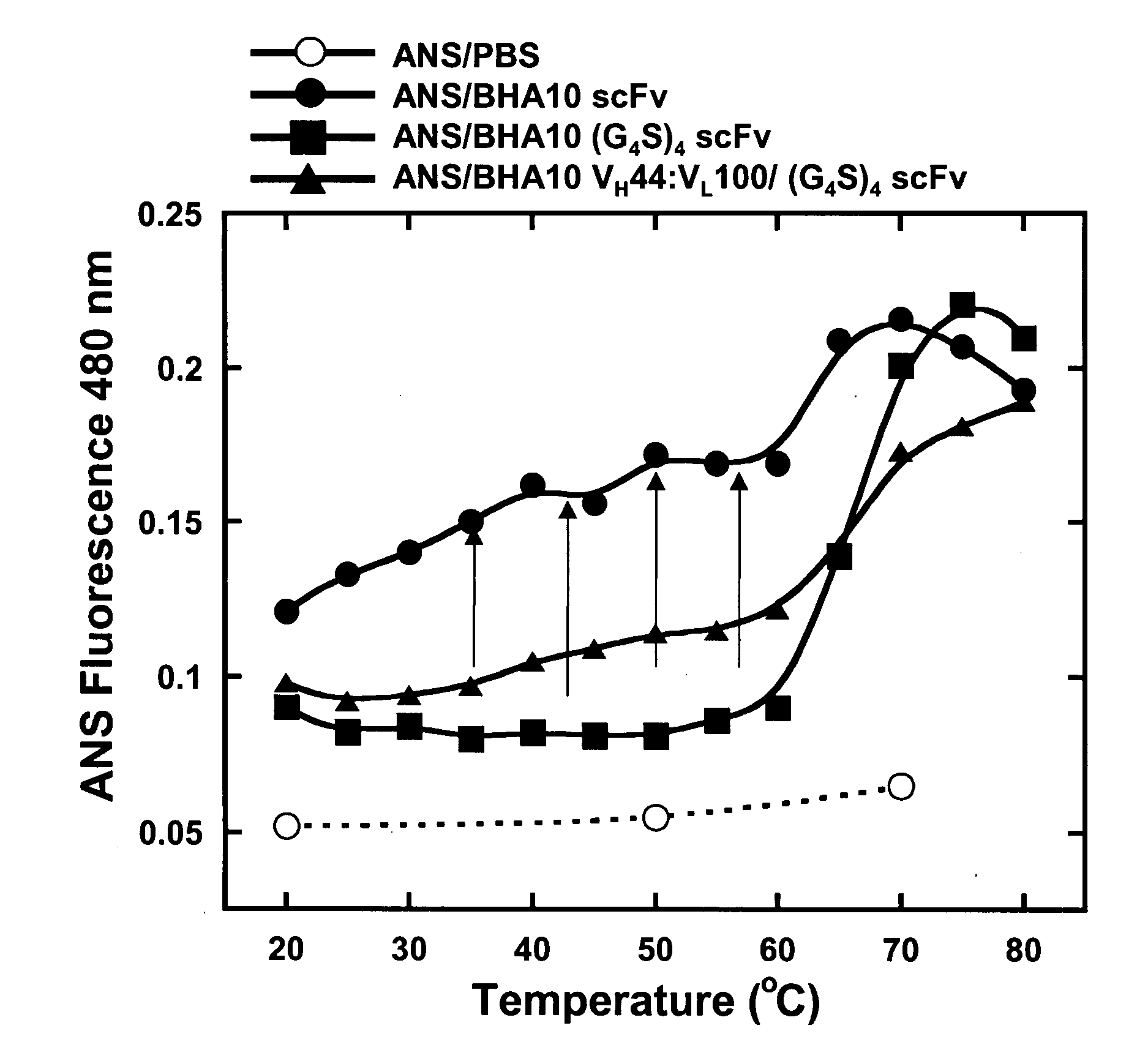 Stabilized polypeptide compositions