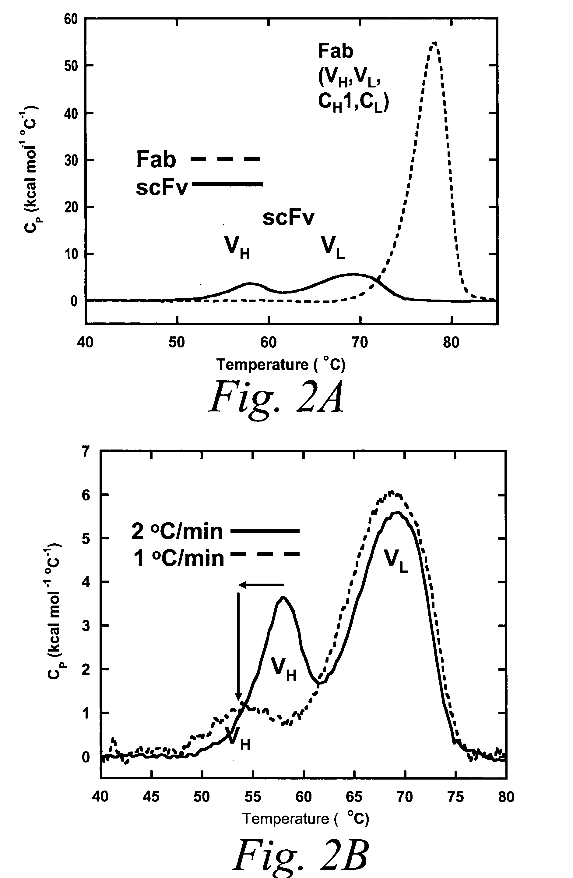 Stabilized polypeptide compositions