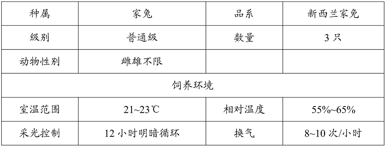 Royal jelly extract for promoting synthesis of collagen and extracting method and application of royal jelly extract